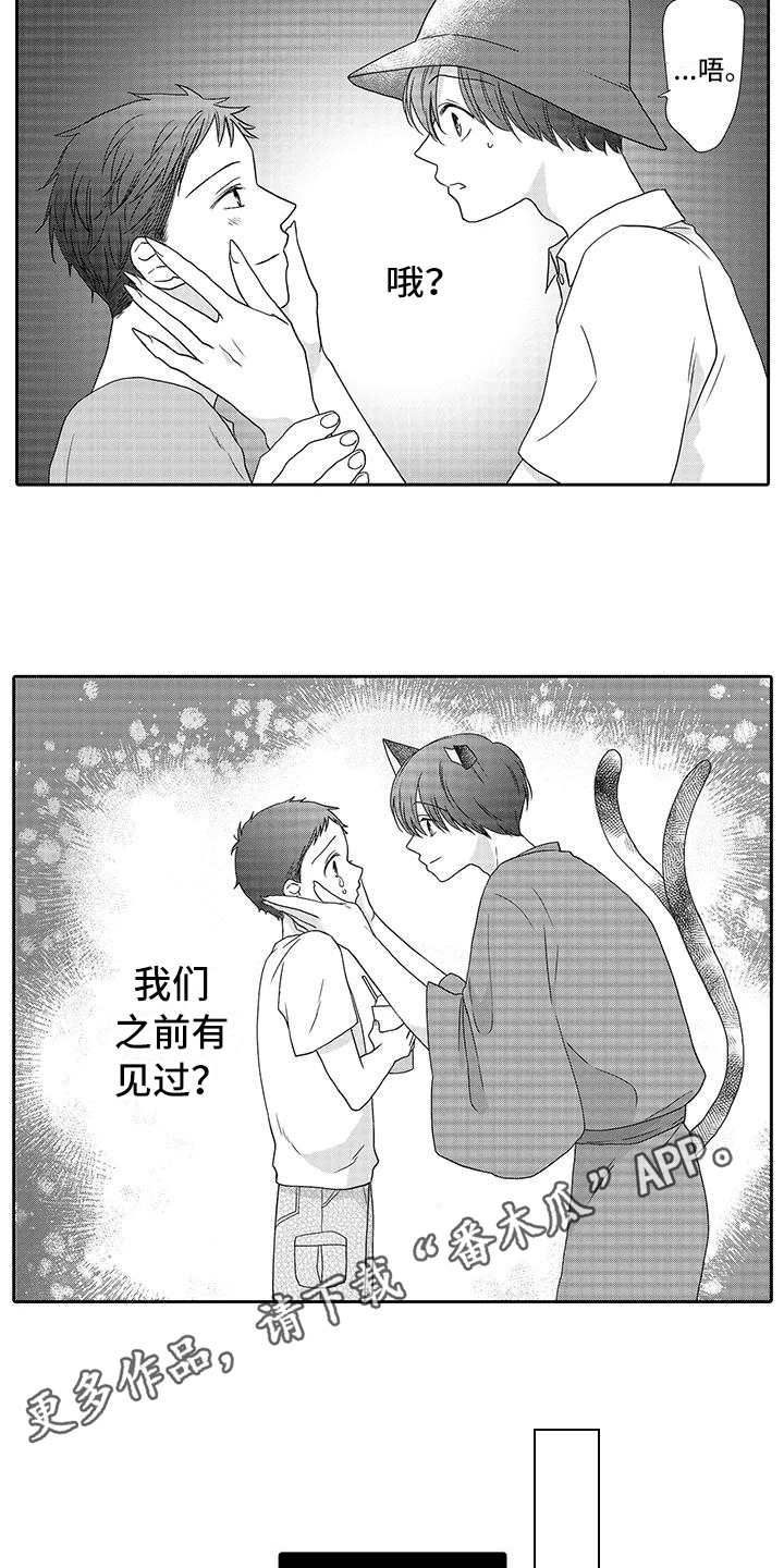 第12章：曾经见过6