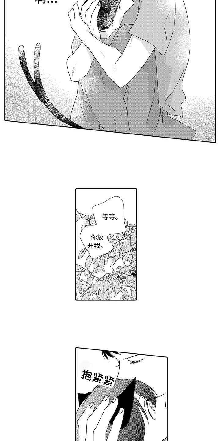 第4章：心情奇怪11