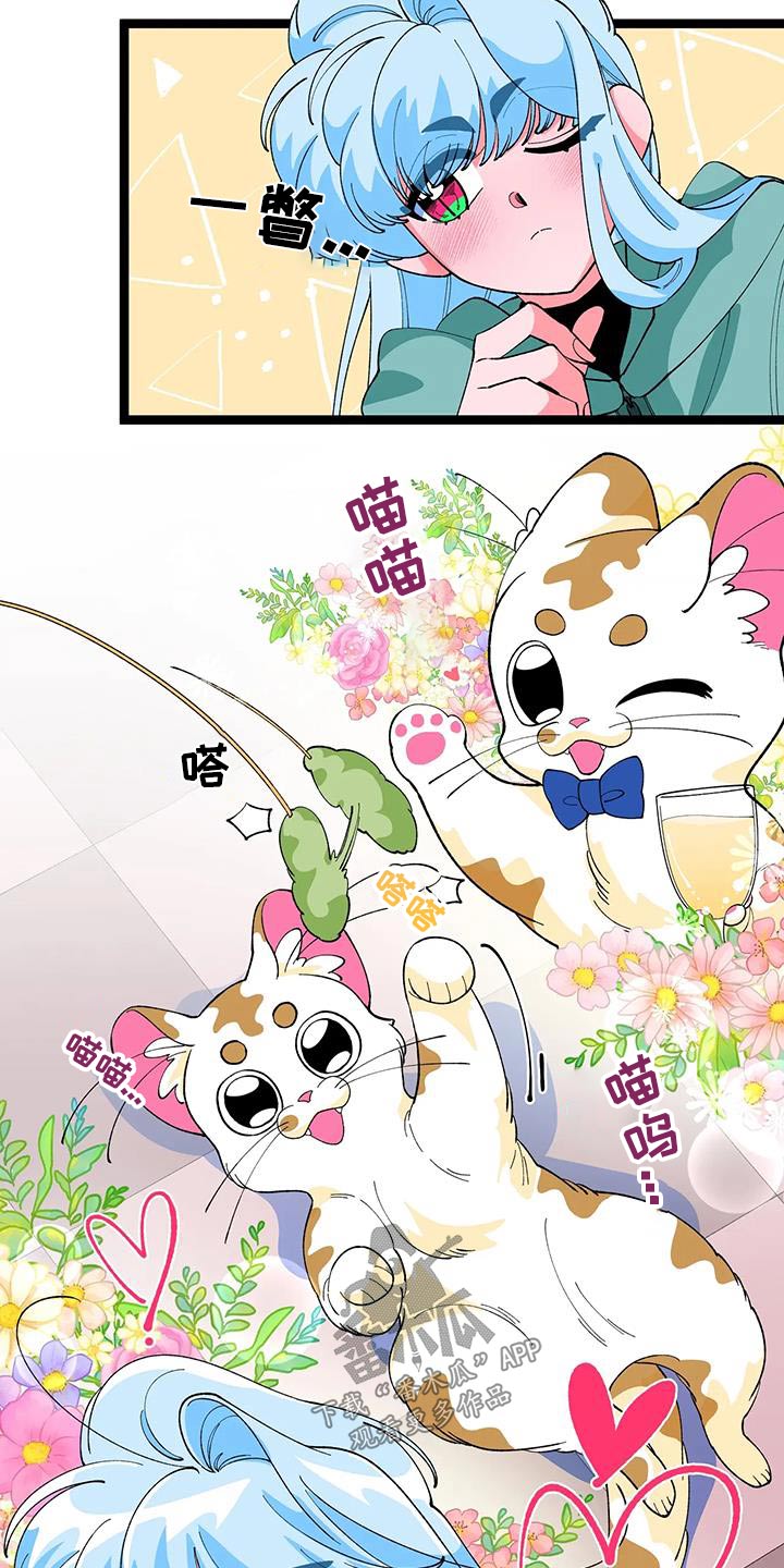 第56章：【番外】小猫15