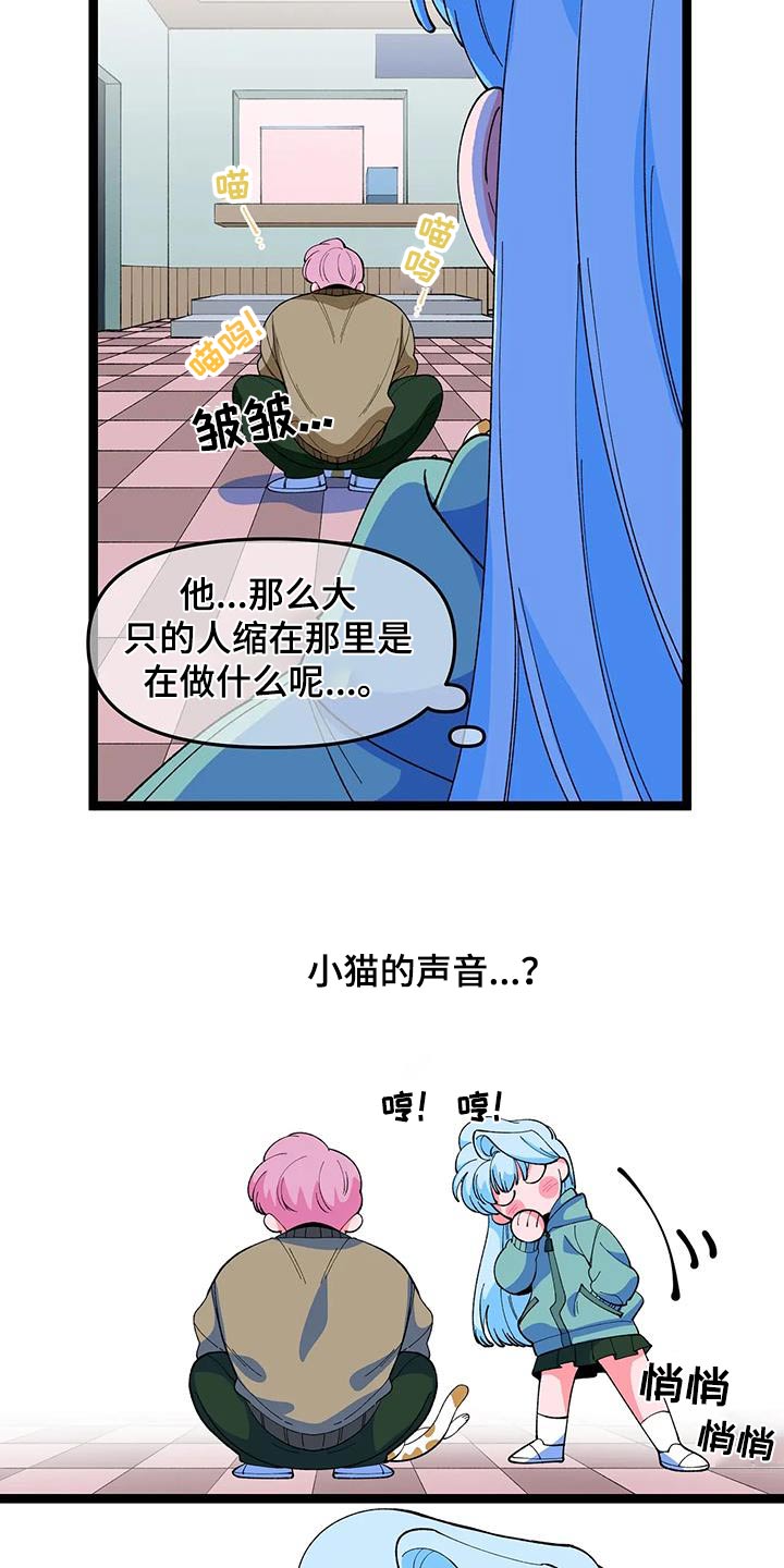 第56章：【番外】小猫14
