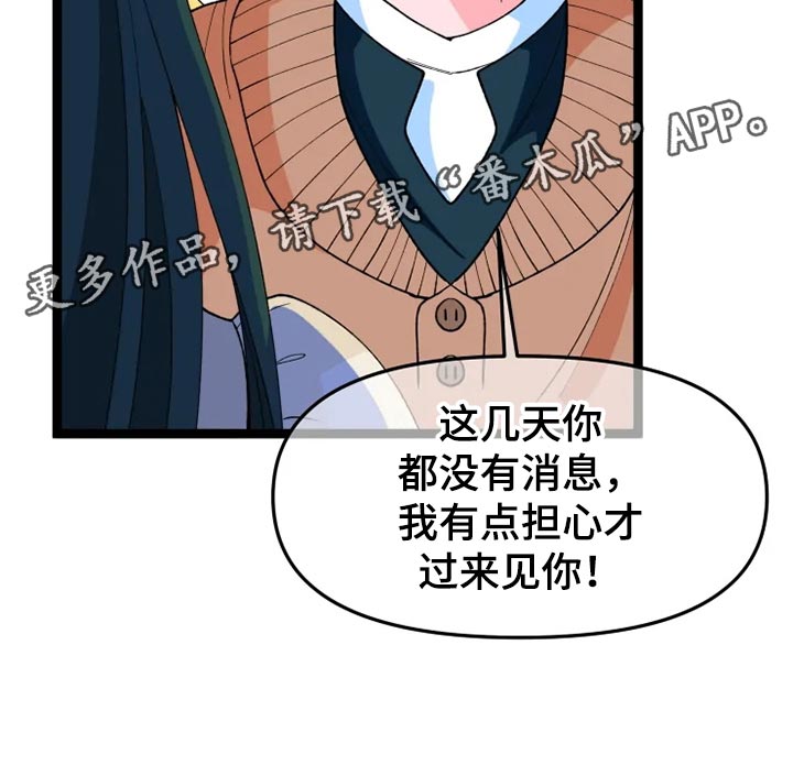第25章：说明29