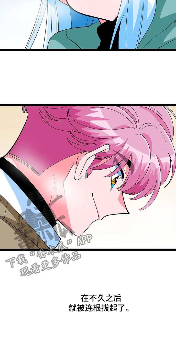 第54章：【番外】难以拒绝5