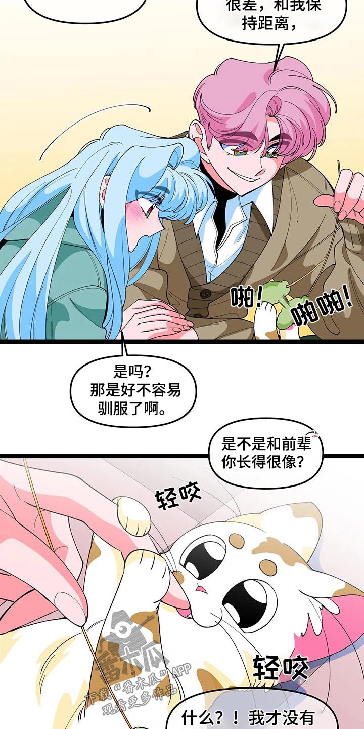 第56章：【番外】小猫17