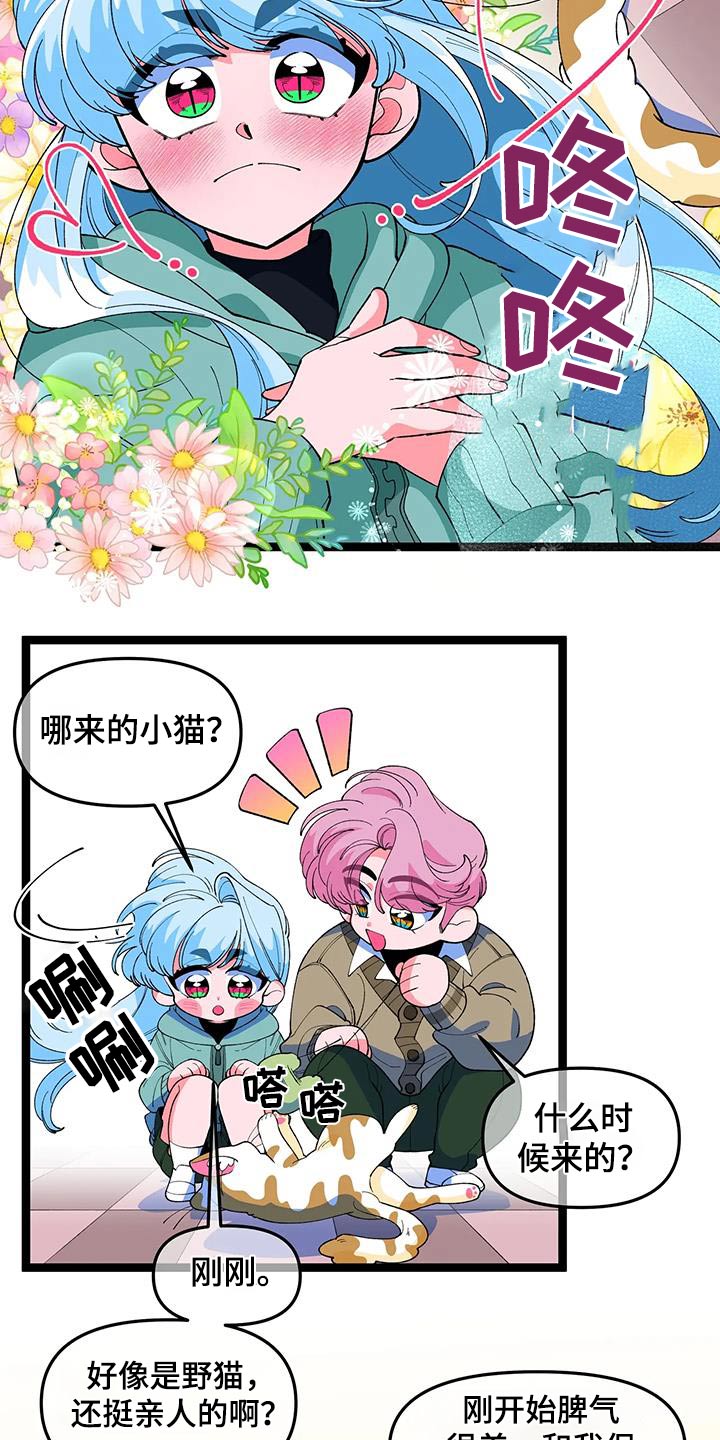 第56章：【番外】小猫16