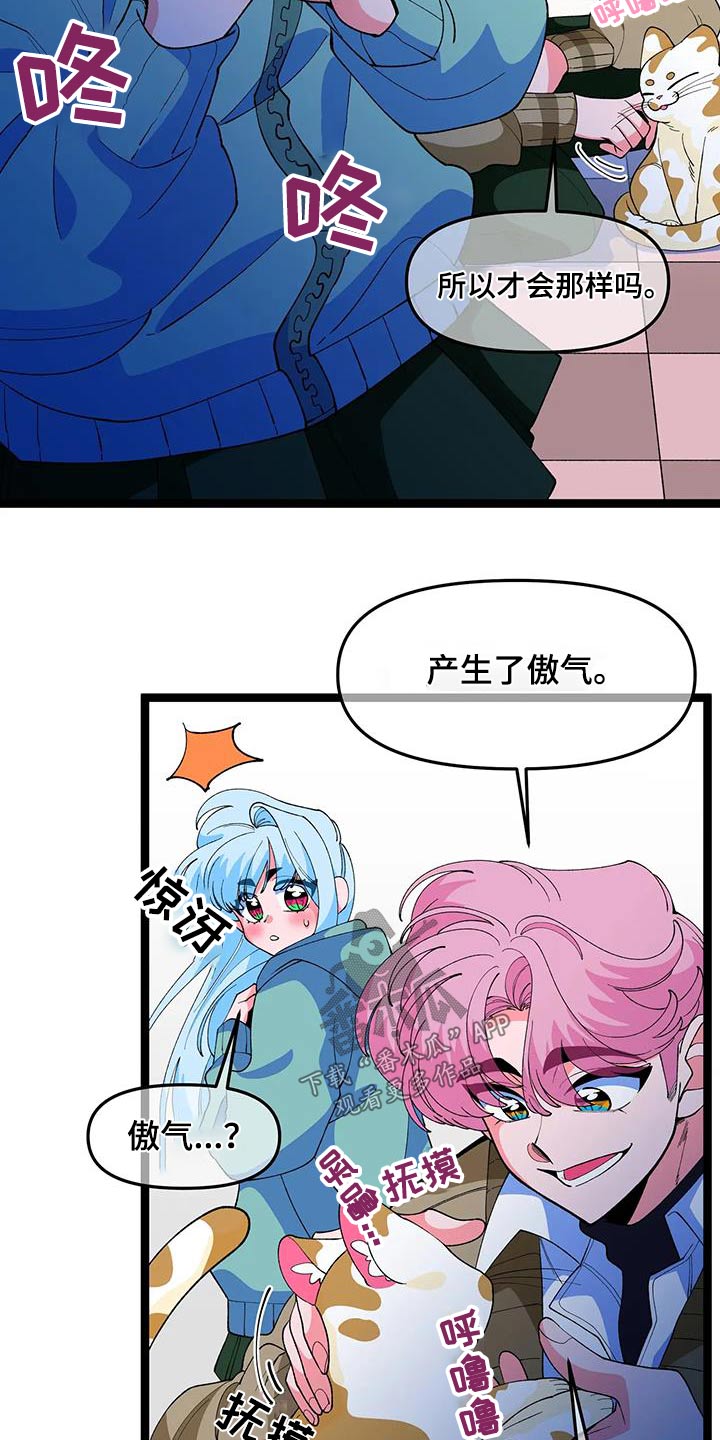 第56章：【番外】小猫21