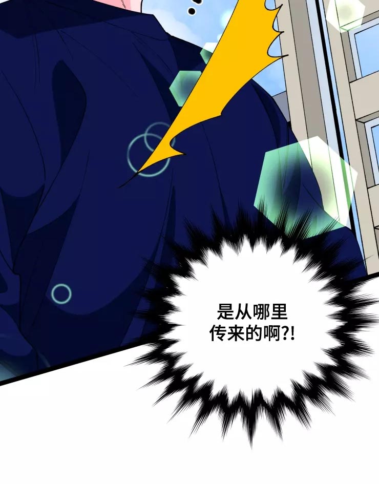 第34章：收藏品15
