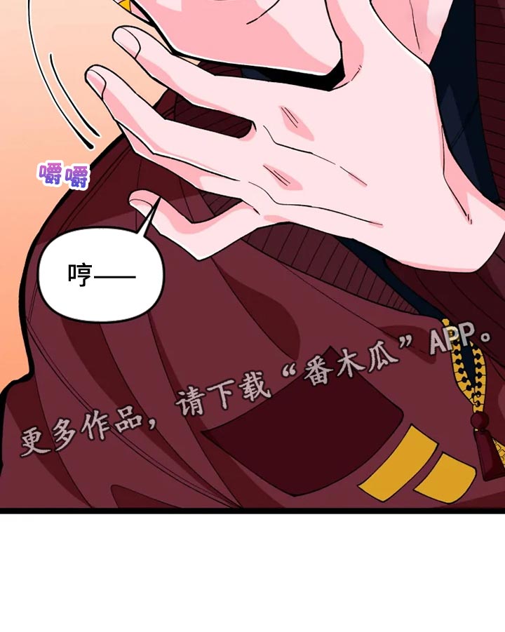 第25章：说明14