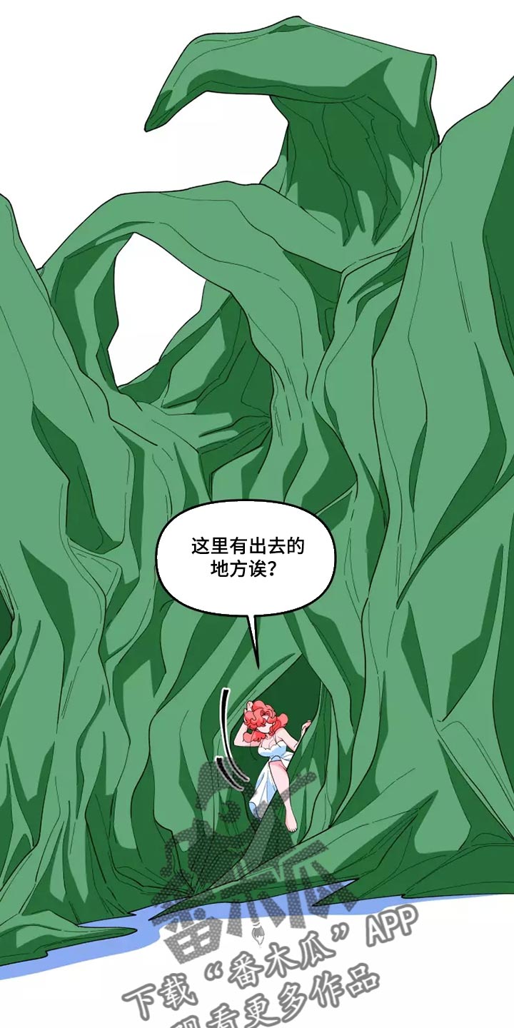 第41章：随心所欲的行动0