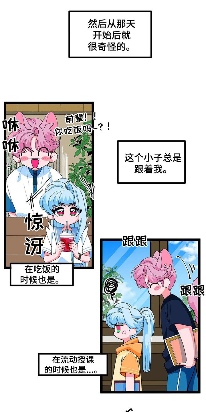 第50章：【番外】告白13