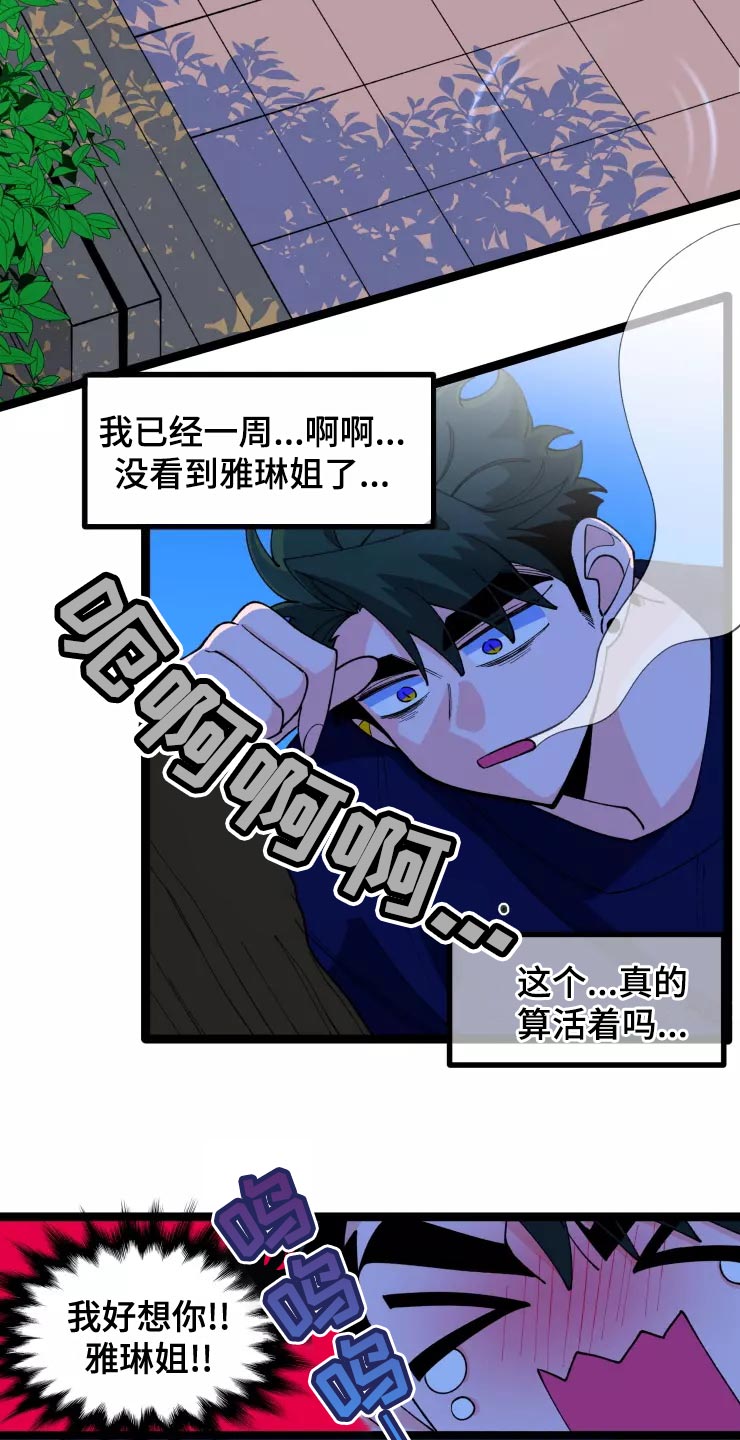 第34章：收藏品10