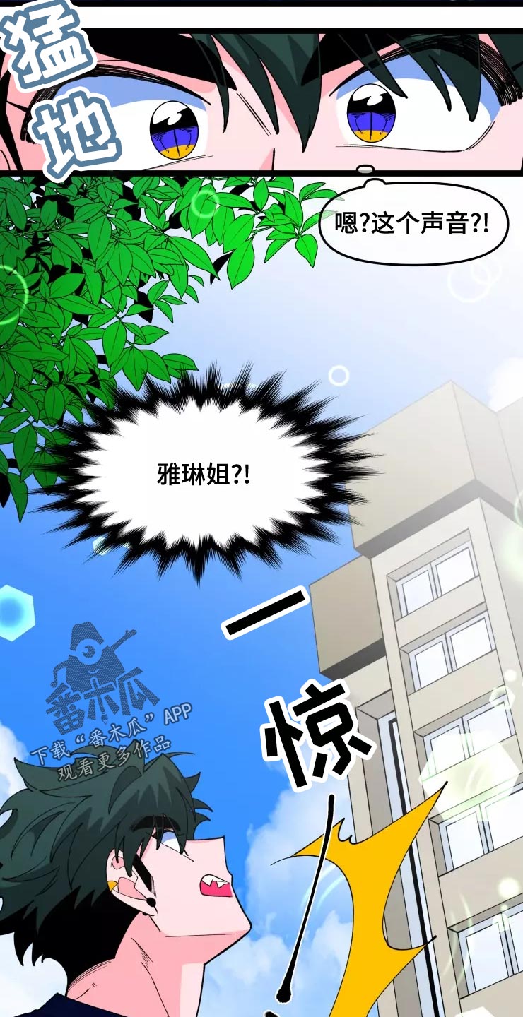 第34章：收藏品14