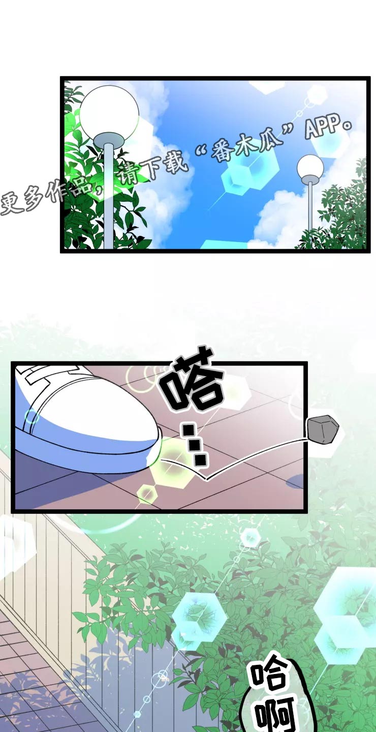 第34章：收藏品8