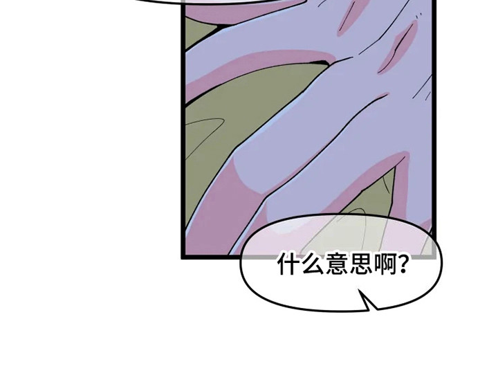 第8章：认清现实13