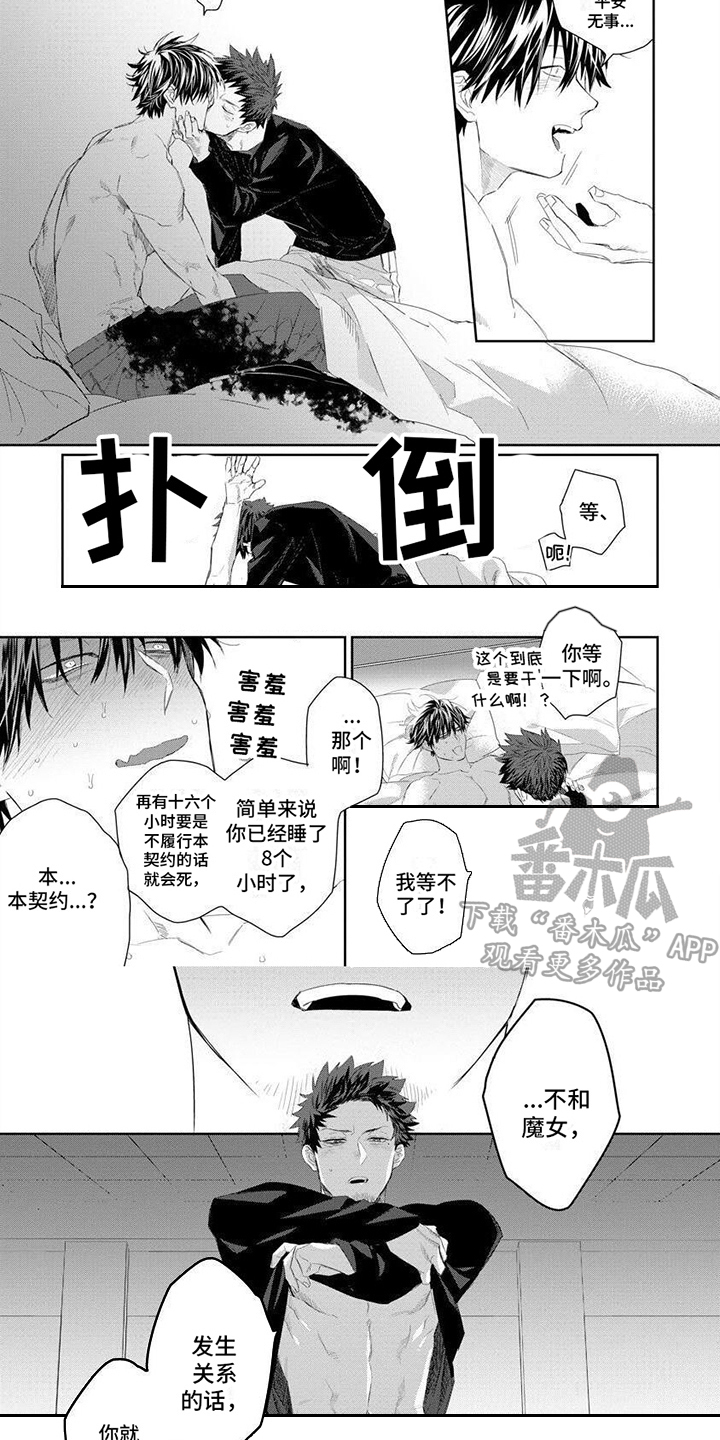 第4章：魔女5