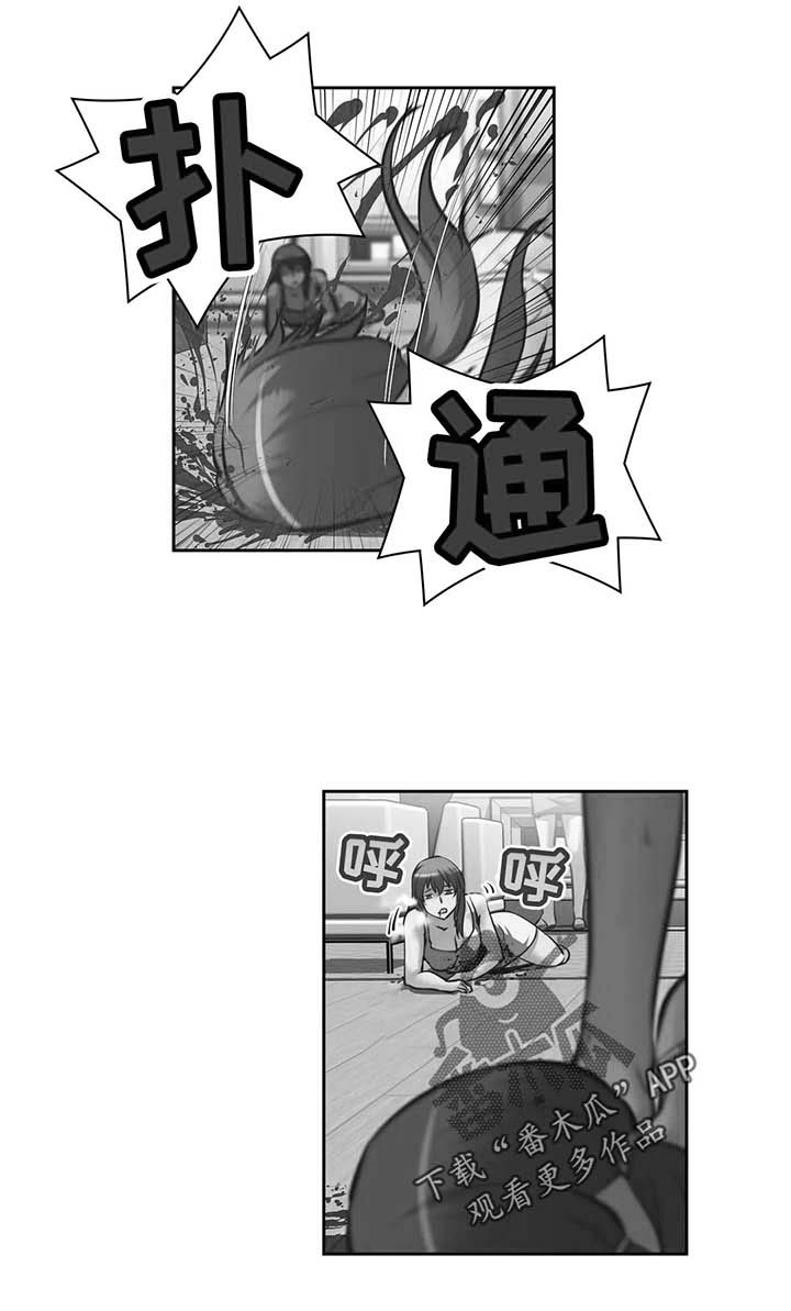 第60章：进攻大本营14