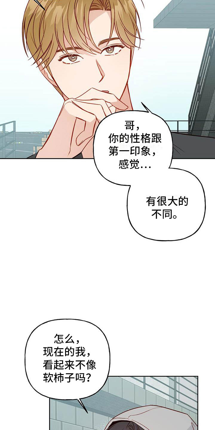 第21章：中听的话8