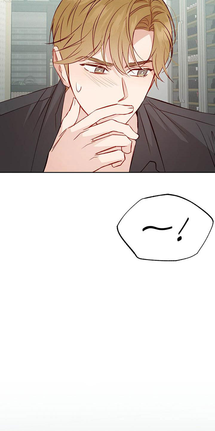 第30章：单相思13