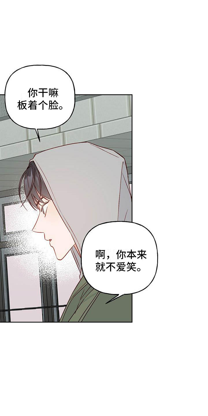 第21章：中听的话6