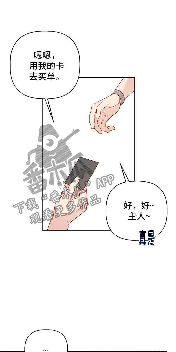 第29章：名字21