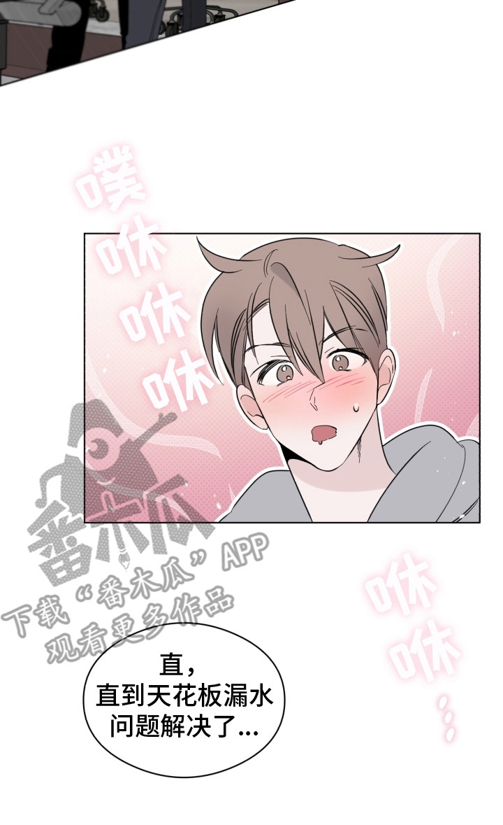 第14章：条件15