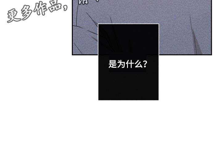 第27章：是为什么19