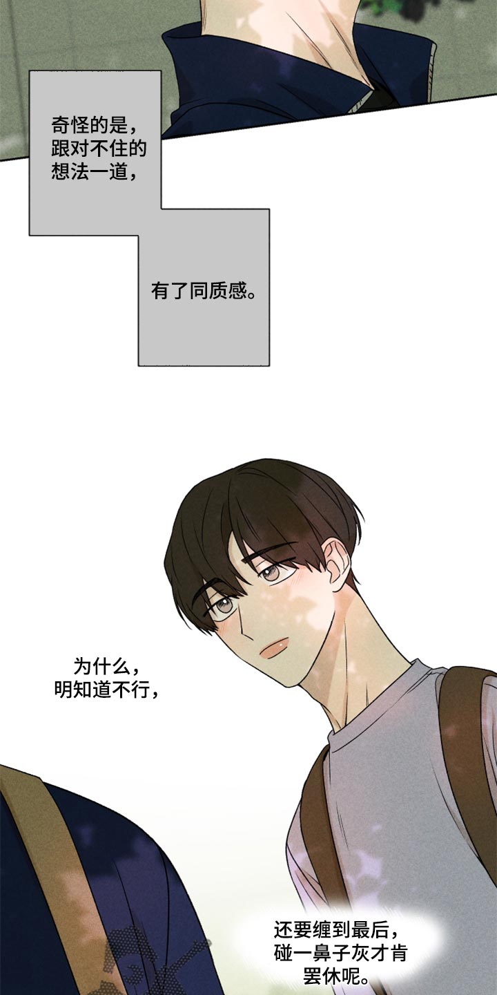 第41章：这是真心话14