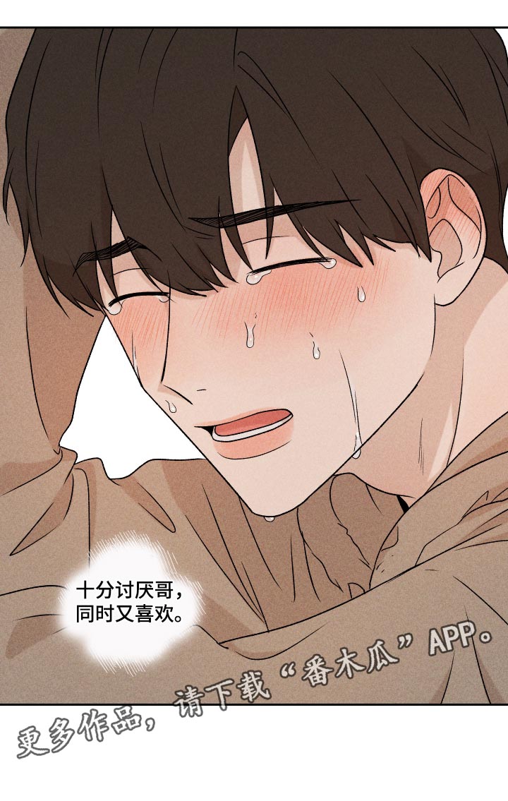 第33章：讨厌同时又喜欢23