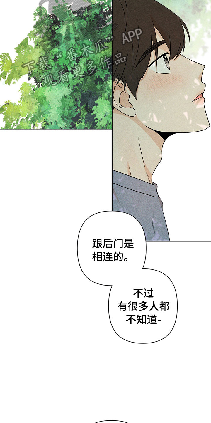 第13章：外景拍摄27
