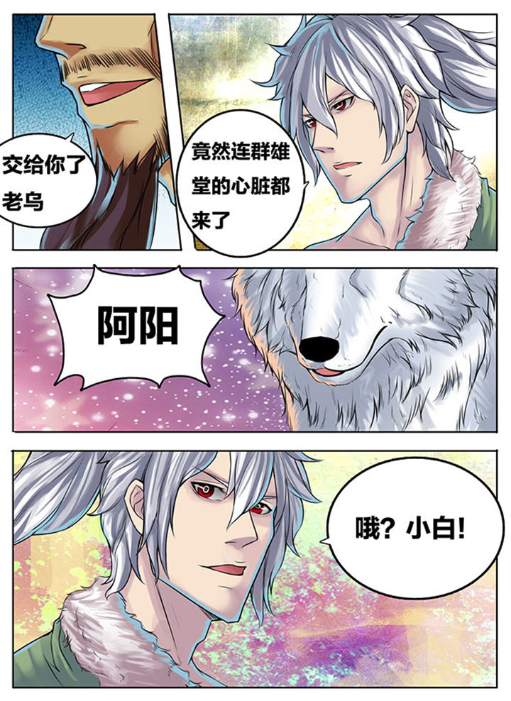 第291章：3