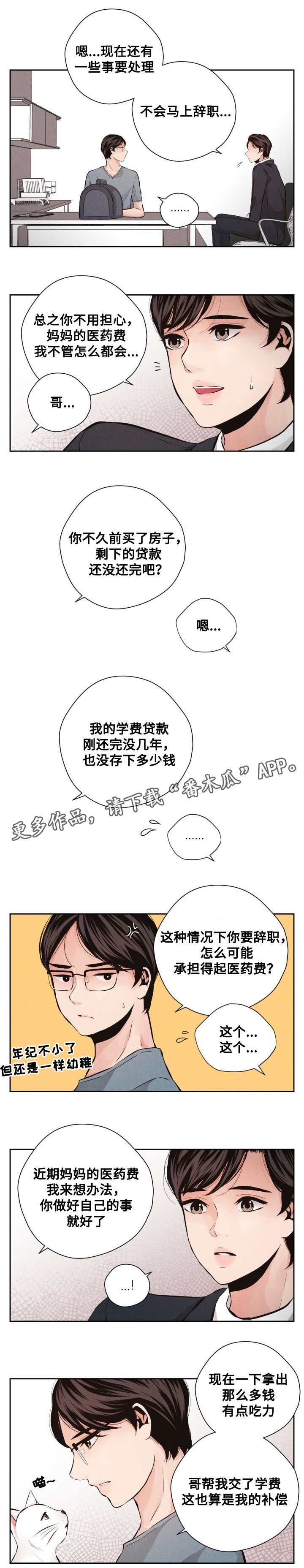 第62章：平凡的生活10
