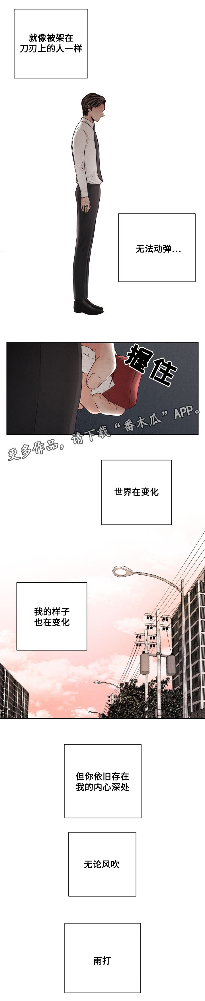 第46章：再一次相遇1