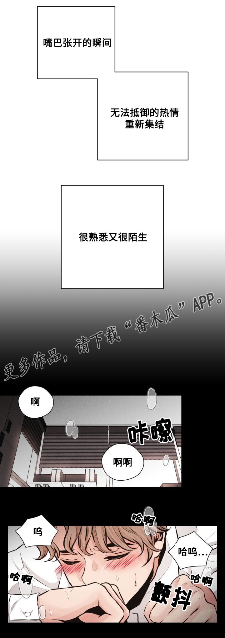 第50章：交易5