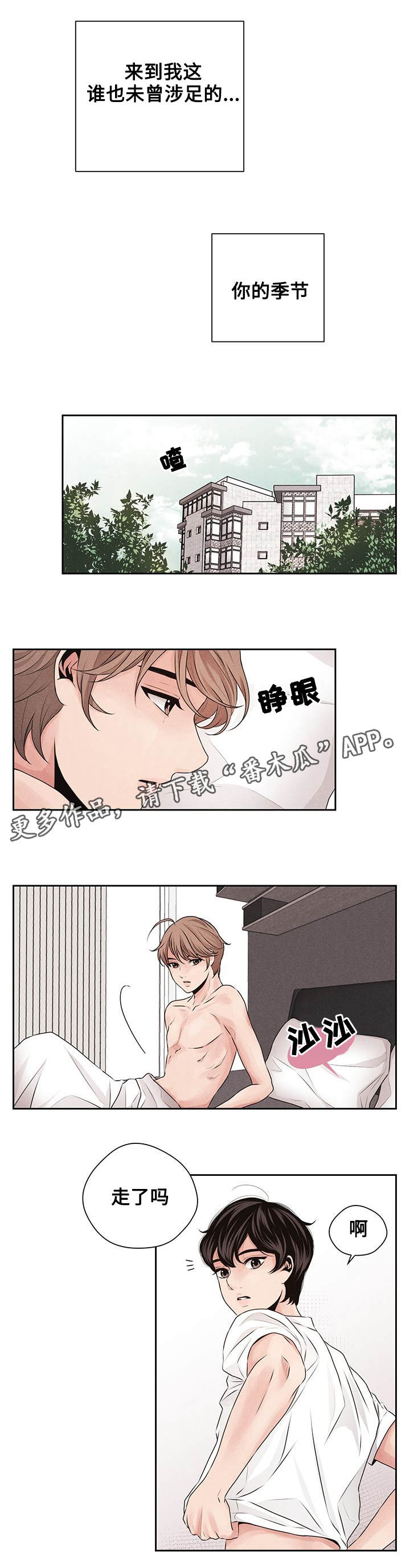 第28章：补偿8