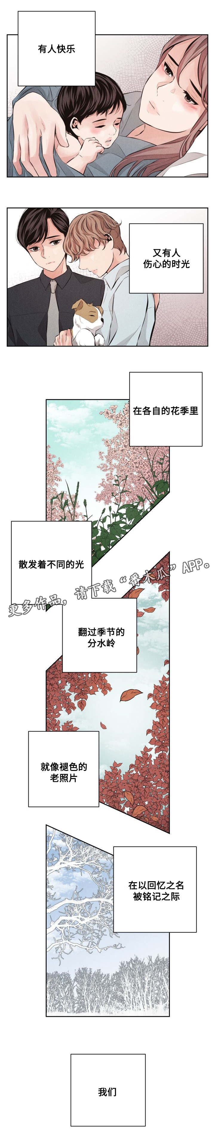 第64章：最美的花季(完结)6