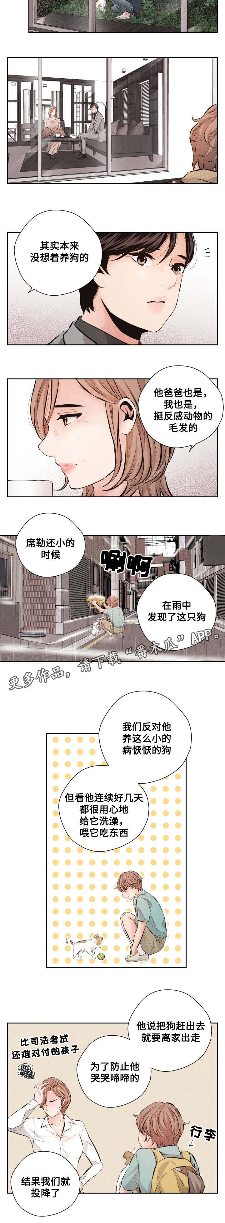 第63章：见家长12