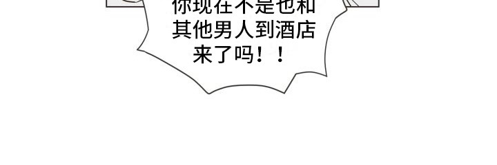 第2章：出轨17