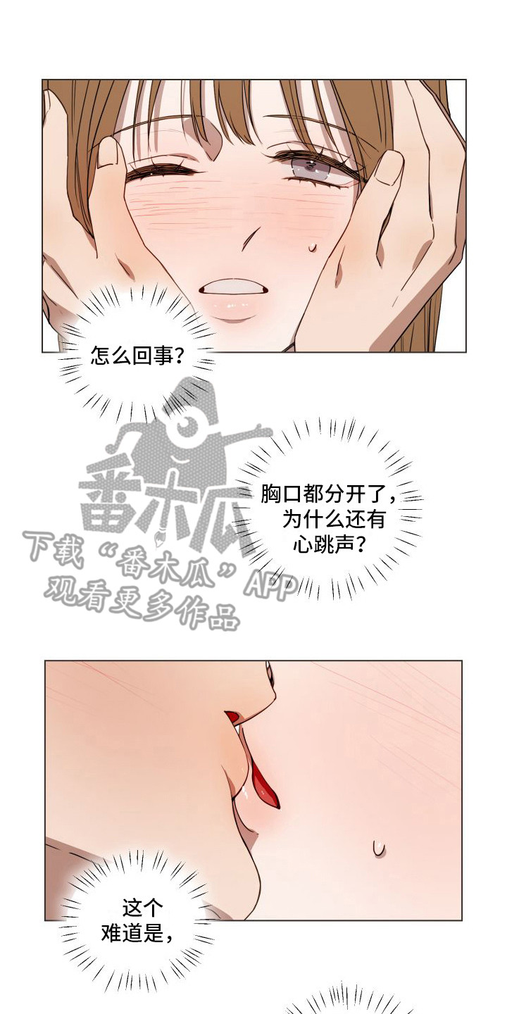 第17章：表明心意 0