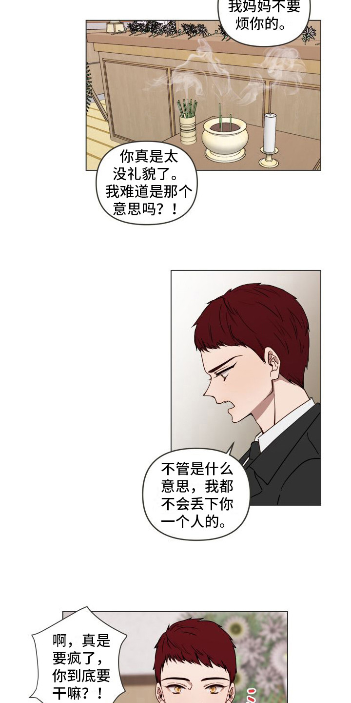 第6章：没有回答 11