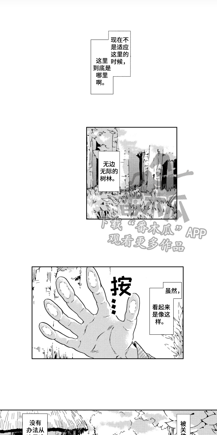 第6章：名字11