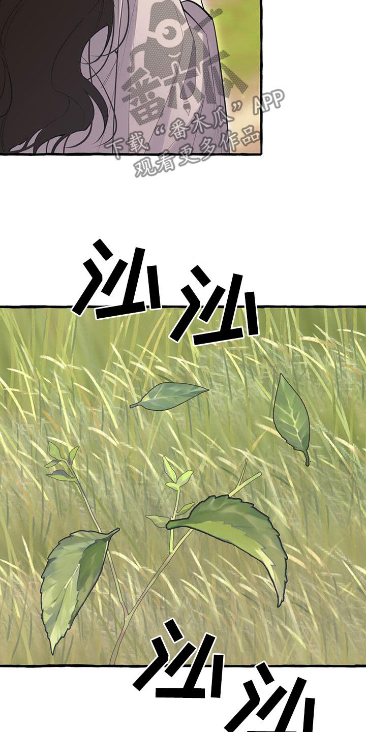第141章：风水宝地24