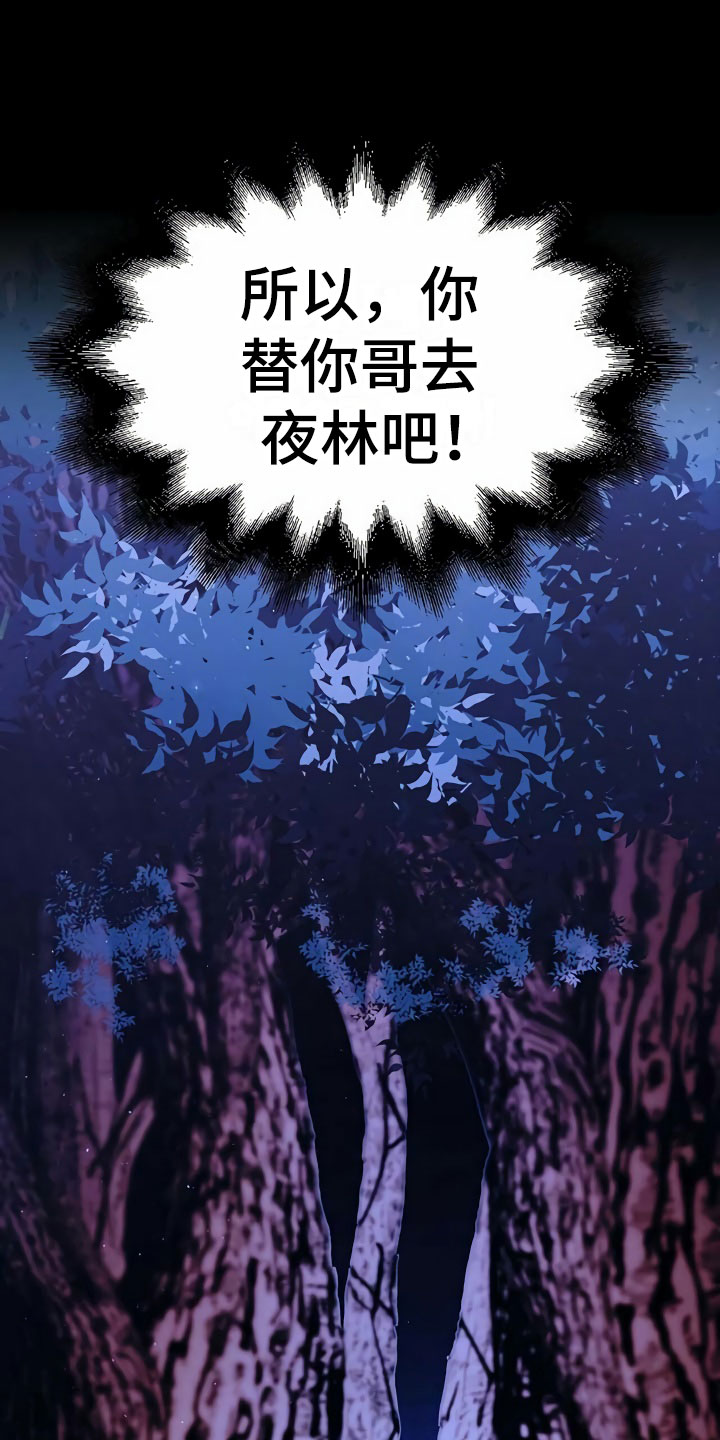 第1章：夜林11