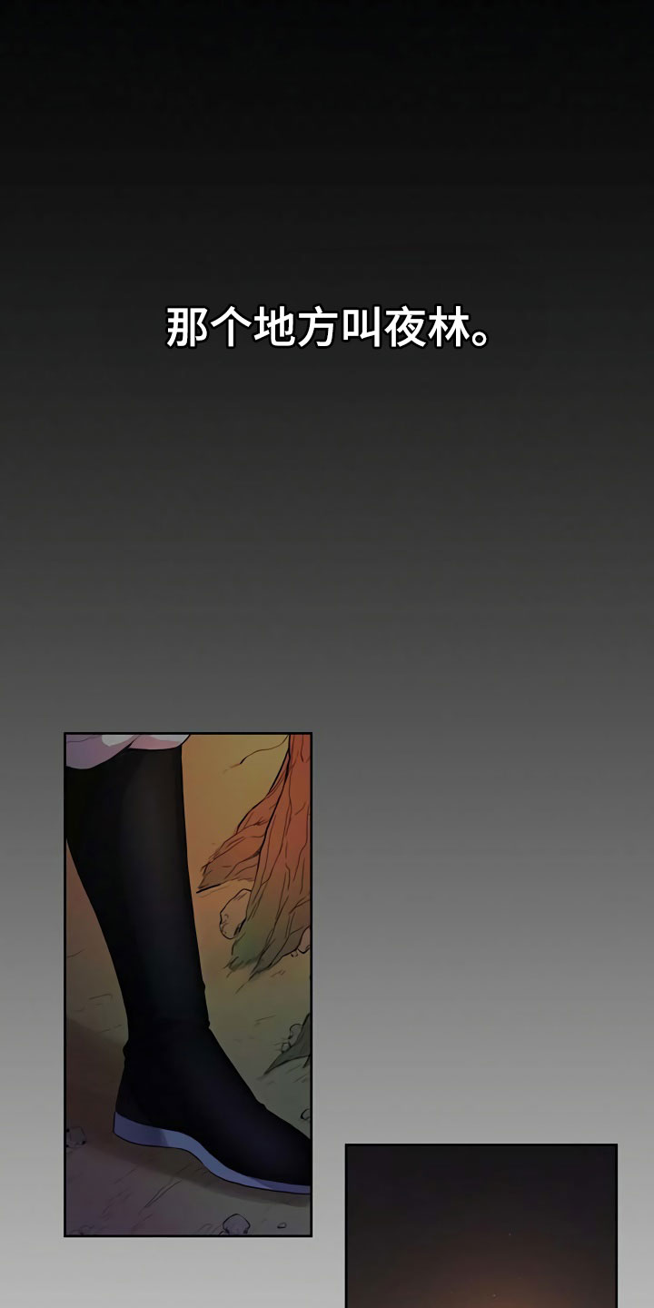 第1章：夜林0