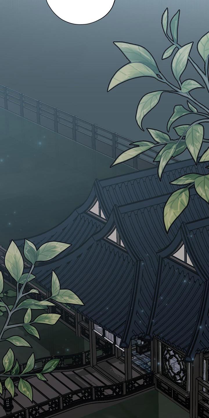 第125章：迷魂药11