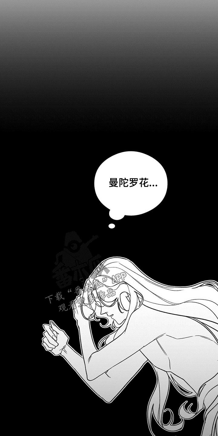 第84章：曾经是24