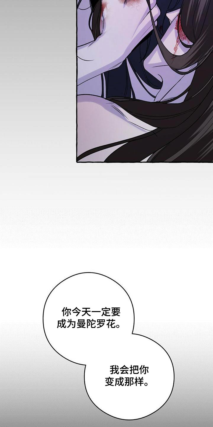 第84章：曾经是23