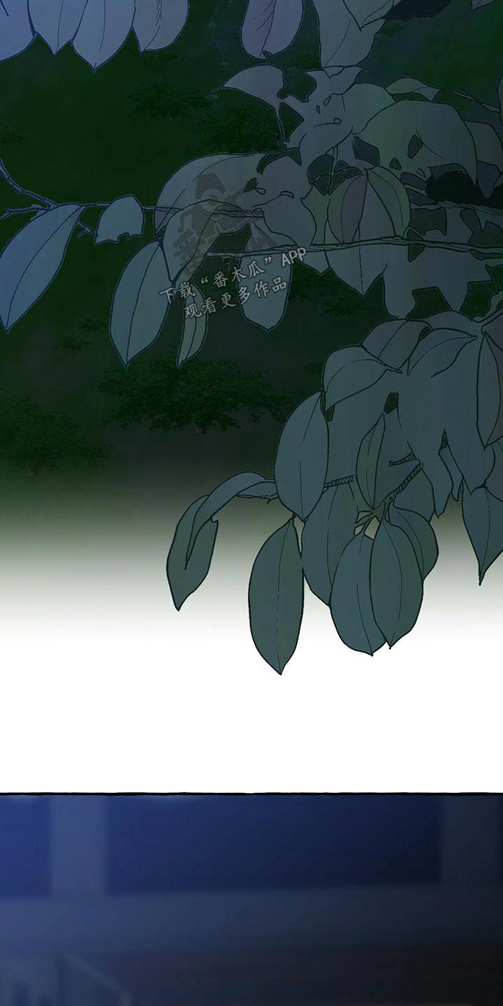 第81章：因为你不是8