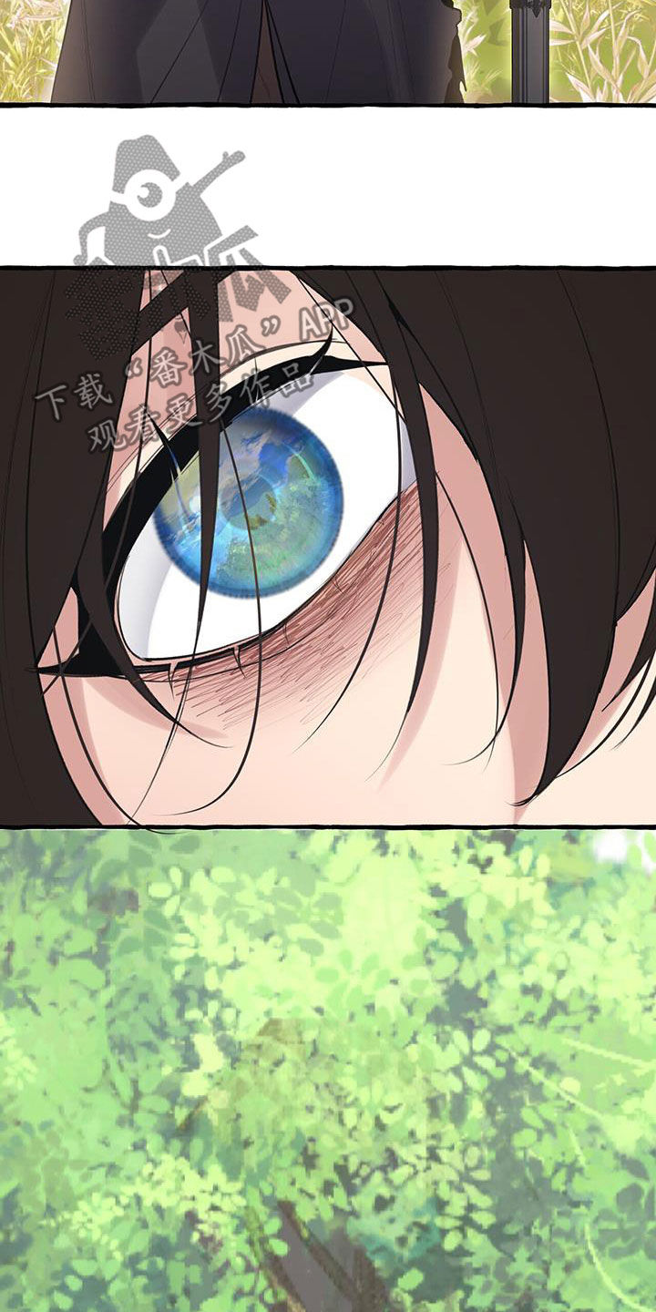 第141章：风水宝地26