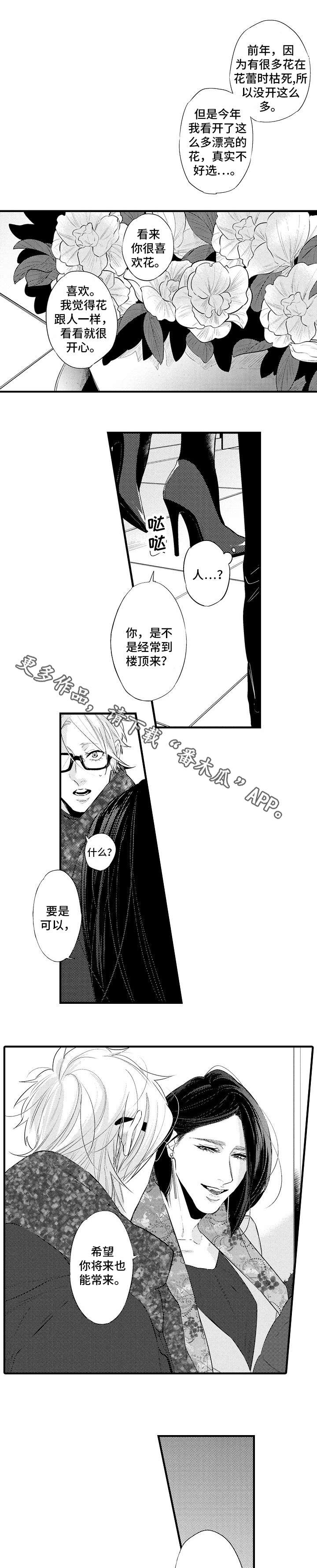 第19章：礼物3