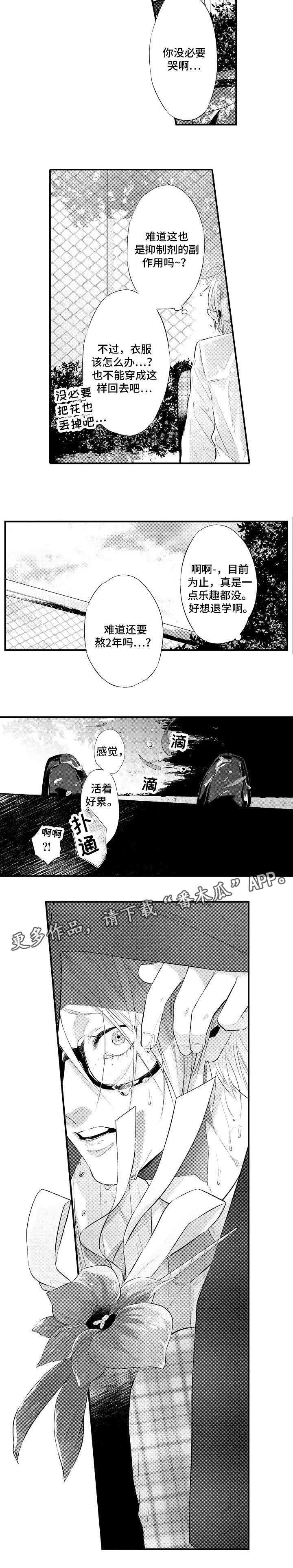 第3章：烦人5