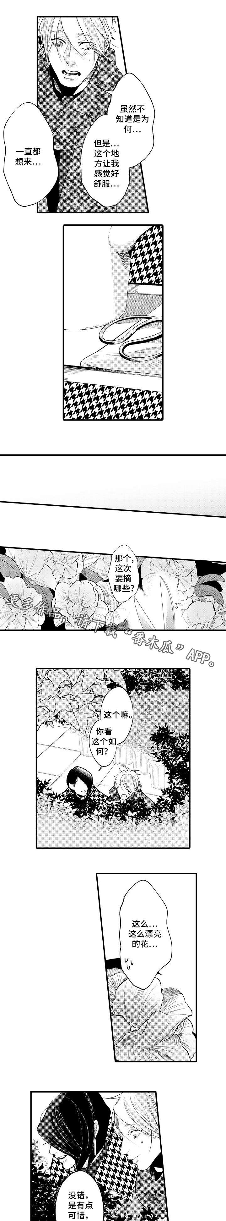 第28章：开心的原因2